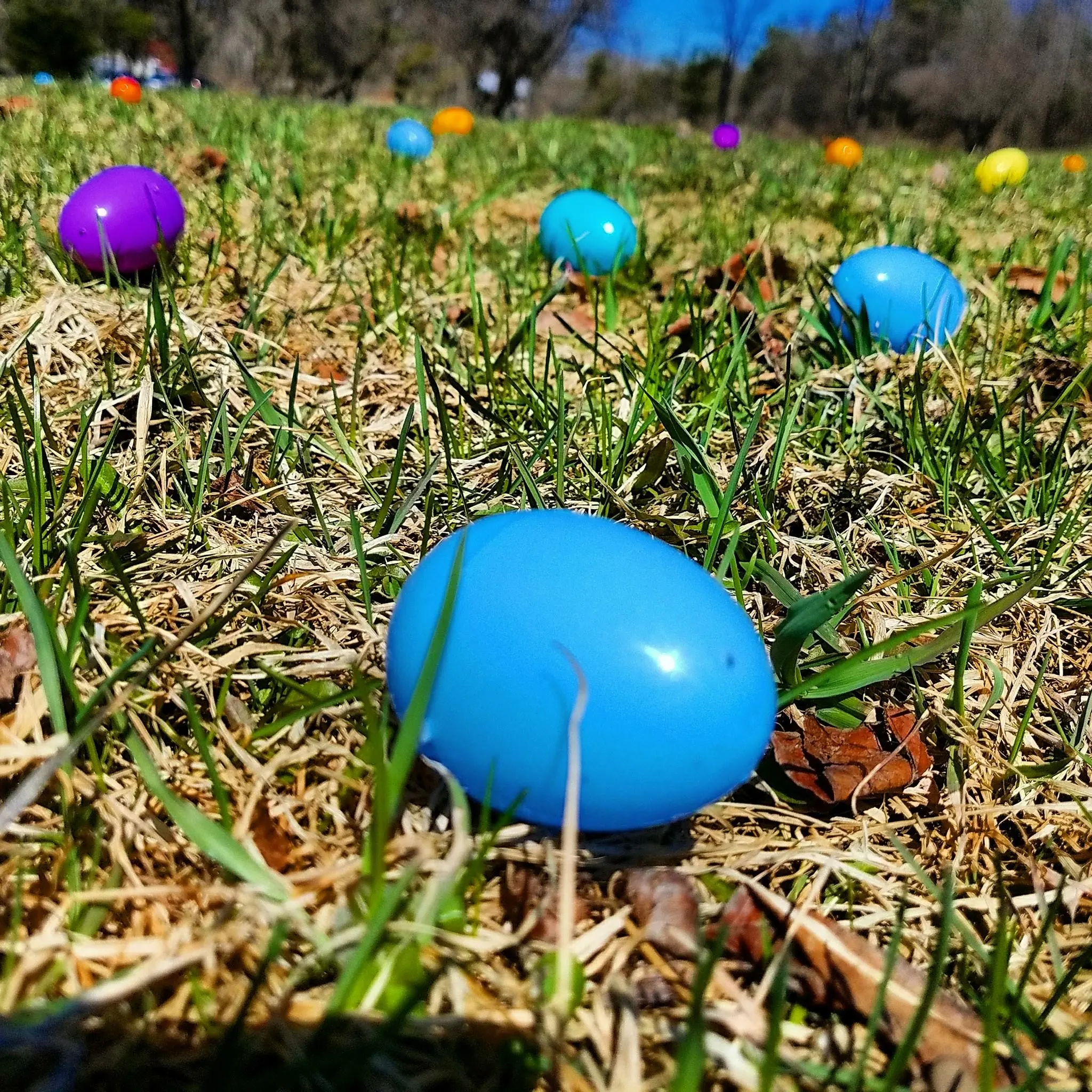 Easter Bunny Express